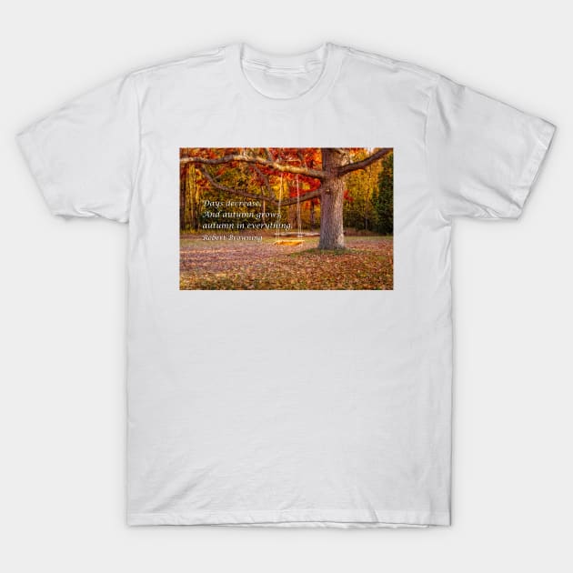 Tree Swing In Autumn T-Shirt by Robert Alsop